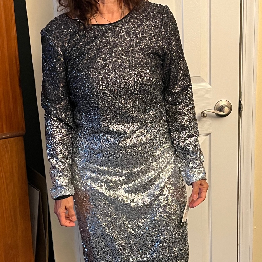 NWT ombré  long sleeve sequin dress. By Maia size 10.